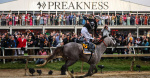 Seize the Grey crosses finish line first at Preakness Stakes ending Mystik Dans run for Triple Crown  CBS News