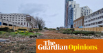 The Guardian view on Plymouth’s lost trees: an act of vandalism | Editorial