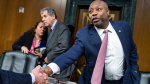 CNBC Daily Open: After SVB collapse, stricter rules coming for banks? - CNBC CNBC Daily Open: After SVB collapse, stricter rules coming for banks? - CNBC