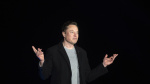 Musk Musk