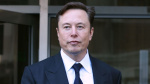 Elon Musk and other tech leaders call for pause in  Elon Musk and other tech leaders call for pause in