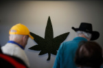 Seniors using marijuana face drug interactions other side effects  The Washington Post