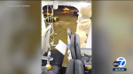 Alaska Airlines grounds Boeing 7379 planes after SoCalbound flights emergency landing in Oregon  KABCTV Alaska Airlines grounds Boeing 7379 planes after SoCalbound flights emergency landing in Oregon  KABCTV