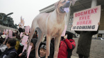 Dog meat production and sales will soon become illegal in South Korea The Associated Press Dog meat production and sales will soon become illegal in South Korea The Associated Press