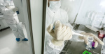 Ancient human DNA helps explain why northern Europeans have higher multiple sclerosis risk  CBS News Ancient human DNA helps explain why northern Europeans have higher multiple sclerosis risk  CBS News