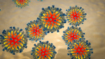 Montgomery County measles exposure Officials warn of 2 possible sites in Abington area of Montco WPVITV Montgomery County measles exposure Officials warn of 2 possible sites in Abington area of Montco WPVITV