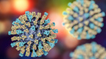 Virginia officials warn of potential measles exposure at Dulles Reagan airports  NBC4 Washington