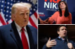 Another New Hampshire poll gives Trump monster lead over Haley leaves DeSantis in single digits  New York Post Another New Hampshire poll gives Trump monster lead over Haley leaves DeSantis in single digits  New York Post