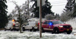 Power line falls on car during Oregon ice storm killing 3 and hurting a baby authorities say  The Seattle Times