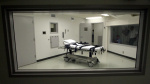 Alabama inmate asks federal appeals court to block firstever execution by nitrogen gas  ABC News