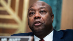 Sen Tim Scott endorses Trump in New Hampshire  CNN