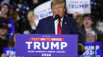 Election 2024 DeSantis drops ahead of New Hampshire primary live updates The Associated Press Election 2024 DeSantis drops ahead of New Hampshire primary live updates The Associated Press