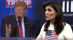 Trump v Haley is about to get even uglier in South Carolina  USA TODAY