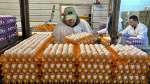 Avian flu is devastating farms in Californias Egg Basket as outbreaks roil poultry industry  The Associated Press Avian flu is devastating farms in Californias Egg Basket as outbreaks roil poultry industry  The Associated Press