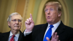 Trump poses dilemma for Senate GOP leaders after years of battling with McConnell CNN Trump poses dilemma for Senate GOP leaders after years of battling with McConnell CNN