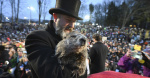 Watch Punxsutawney Phil does not see his shadow on Groundhog Day 2024  CBS Philly Watch Punxsutawney Phil does not see his shadow on Groundhog Day 2024  CBS Philly