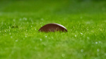 Union will respond Wednesday to Roger Goodells claim that it had no issues with 49ers practice field NBC Sports Union will respond Wednesday to Roger Goodells claim that it had no issues with 49ers practice field NBC Sports