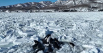 Pod of orcas trapped by thick sea ice off northern Japan drone footage shows  CBS News Pod of orcas trapped by thick sea ice off northern Japan drone footage shows  CBS News