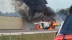 2 dead 3 injured after small plane crashes onto Florida highway Authorities  ABC News
