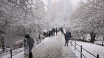 Powerful noreaster pelts region with snow making it New York Citys snowiest day in 2 years CNN Powerful noreaster pelts region with snow making it New York Citys snowiest day in 2 years CNN