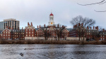 Harvard condemns antisemitic image circulated by proPalestinian groups on campus  CNN