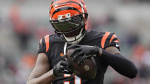 Bengals inform Tee Higgins that hell receive franchise tag NBC Sports Bengals inform Tee Higgins that hell receive franchise tag NBC Sports