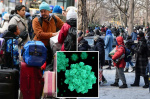 Outraged social media users claim migrants responsible for norovirus spread in the Northeast  New York Post Outraged social media users claim migrants responsible for norovirus spread in the Northeast  New York Post