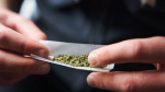 Any use of marijuana linked to higher risk of heart attack and stroke study says  CNN