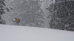 Blizzard in Sierra Nevada closes key Northern California highway The Associated Press Blizzard in Sierra Nevada closes key Northern California highway The Associated Press