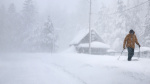 Blizzard slams Californias Sierra Nevada mountains more snow on the way  ABC News