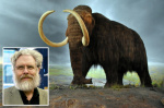 Biotech company reveals breakthrough that could lead to revival of extinct woolly mammoth  New York Post Biotech company reveals breakthrough that could lead to revival of extinct woolly mammoth  New York Post
