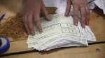 Irish voters reject constitutional amendment about womens role in home The Associated Press Irish voters reject constitutional amendment about womens role in home The Associated Press