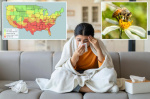 Pollen bomb Doctors are seeing unusually high numbers of patients with severe allergies before spring  New York Post