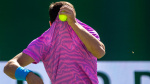Bee invasion suspends AlcarazZverev match at BNP Paribas Open for nearly 2 hours  Desert Sun