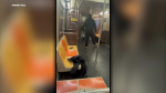 Man shot on NYC subway in Brooklyn video shows woman stabbed victim before shooting NYPD says  WABCTV Man shot on NYC subway in Brooklyn video shows woman stabbed victim before shooting NYPD says  WABCTV