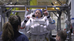Astronaut and UC Davis alum Tracy C Dyson headed to the International Space Station for 3rd mission  KCRA Sacramento
