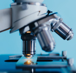 Oral bacteria may speed growth of colon cancers  Yahoo Voices