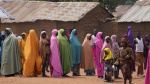 Nigeria school abduction Nearly 300 children freed after two weeks in captivity The Associated Press Nigeria school abduction Nearly 300 children freed after two weeks in captivity The Associated Press