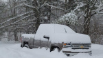 Maine snow  ice totals How much fell across the state  WMTW Portland Maine snow  ice totals How much fell across the state  WMTW Portland
