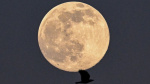 Heres how to see the upcoming worm moon lunar eclipse  CNN