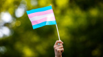 Republicans slam Biden for proclaiming Transgender Day of Visibility on Easter though its yearly observed on March 31  CNN Republicans slam Biden for proclaiming Transgender Day of Visibility on Easter though its yearly observed on March 31  CNN