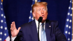Trump Posts Clip Flaming Judges Daughter Despite Gag Order  The Daily Beast Trump Posts Clip Flaming Judges Daughter Despite Gag Order  The Daily Beast