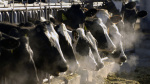 Are milk and eggs safe to eat during this bird flu outbreak The Associated Press Are milk and eggs safe to eat during this bird flu outbreak The Associated Press