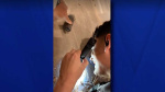 Video Space junk crashed through familys roof NASA says  WDSU New Orleans Video Space junk crashed through familys roof NASA says  WDSU New Orleans