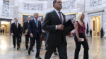 House Republicans send Mayorkas impeachment articles to the Senate forcing a trial The Associated Press House Republicans send Mayorkas impeachment articles to the Senate forcing a trial The Associated Press