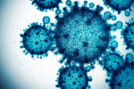 COVID19 variants called FLiRT continue to spread across the US CDC says  KSAT San Antonio COVID19 variants called FLiRT continue to spread across the US CDC says  KSAT San Antonio
