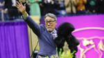 Photos and recap of the Westminster Dog Show 2024  The Washington Post