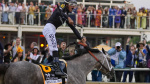 Seize the Grey wins the Preakness for D Wayne Lukas and ends Mystik Dans Triple Crown bid The Associated Press Seize the Grey wins the Preakness for D Wayne Lukas and ends Mystik Dans Triple Crown bid The Associated Press