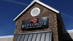 Red Lobster files for bankruptcy CNBC Red Lobster files for bankruptcy CNBC