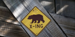 One of Wall Streets last remaining bears has finally capitulated  MarketWatch